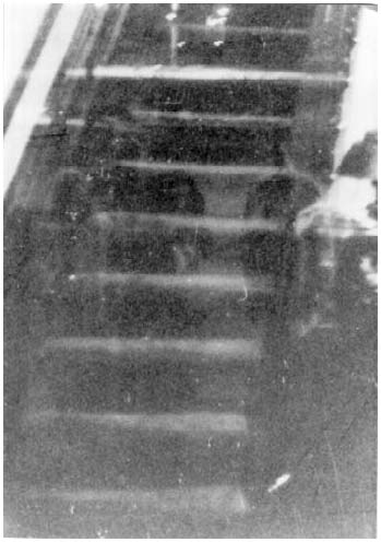 Tác giả khẳng định không có nhân vật nào quanh quẩn trong ống kính vào thời điểm bấm máy, nhưng trong tấm hình lại hiện lên mờ ảo 4 nhà sư đứng ở những bậc cuối cùng dưới chân cầu thang.